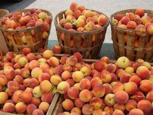 dream about peaches