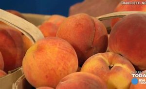 dream about peaches