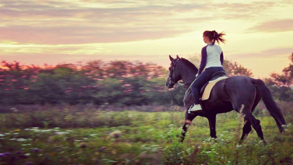 What Does It Mean When You Dream of Riding