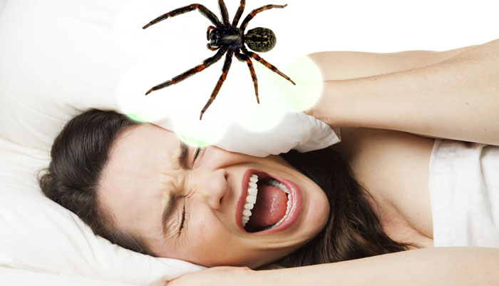 What Does It Mean When You Dreaming of Baby Spider