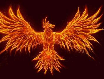 dream about a phoenix