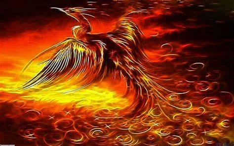 dream about a phoenix