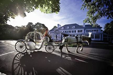 dream about carriage