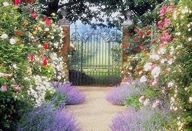 dream about garden