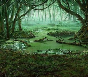 Swamp Dream