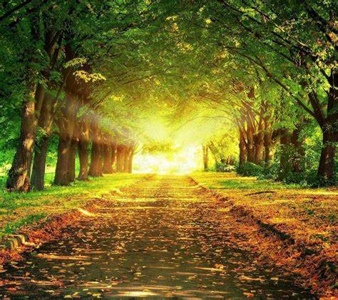 Dream About Path – Biblical Message and Spiritual Meaning