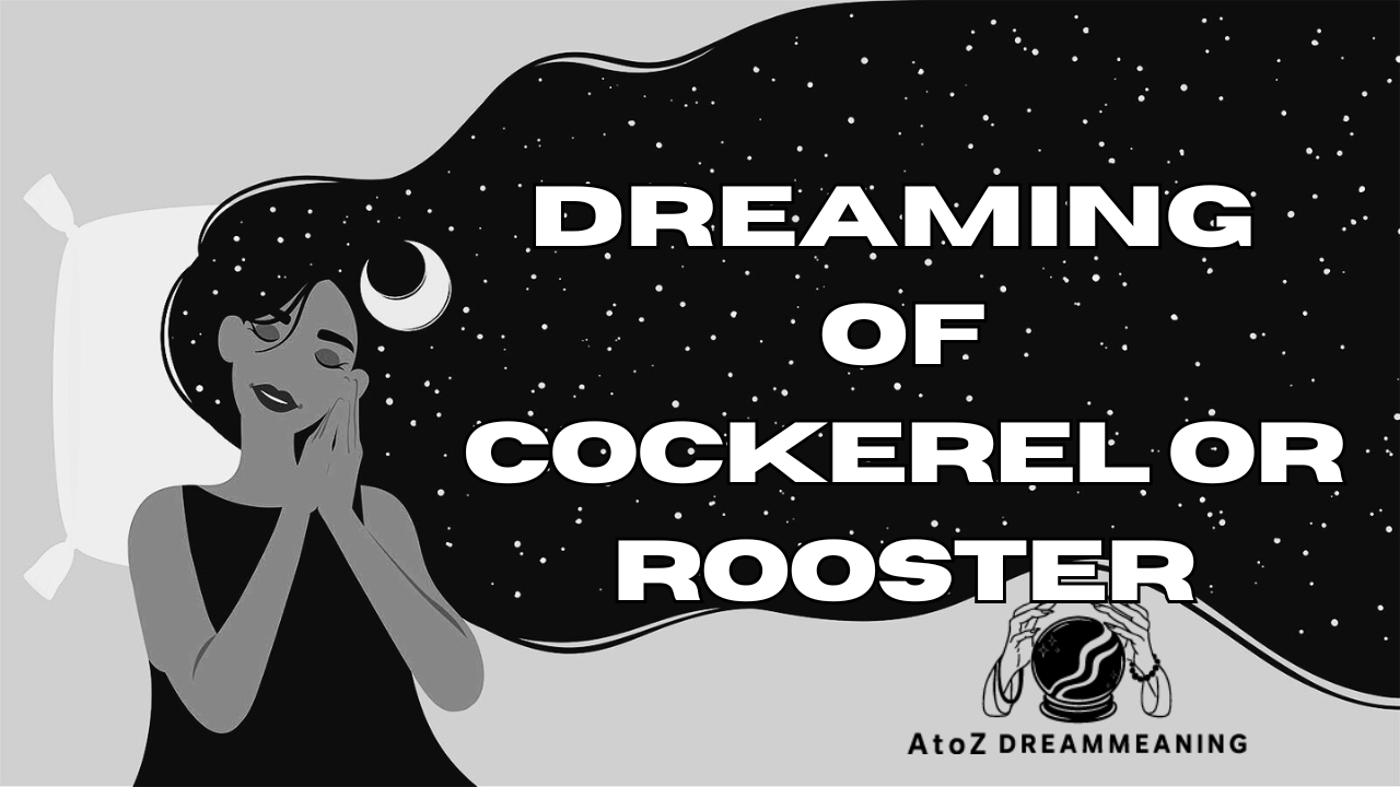 Dream About Cockerel Or Rooster - Biblical Message and Spiritual Meaning