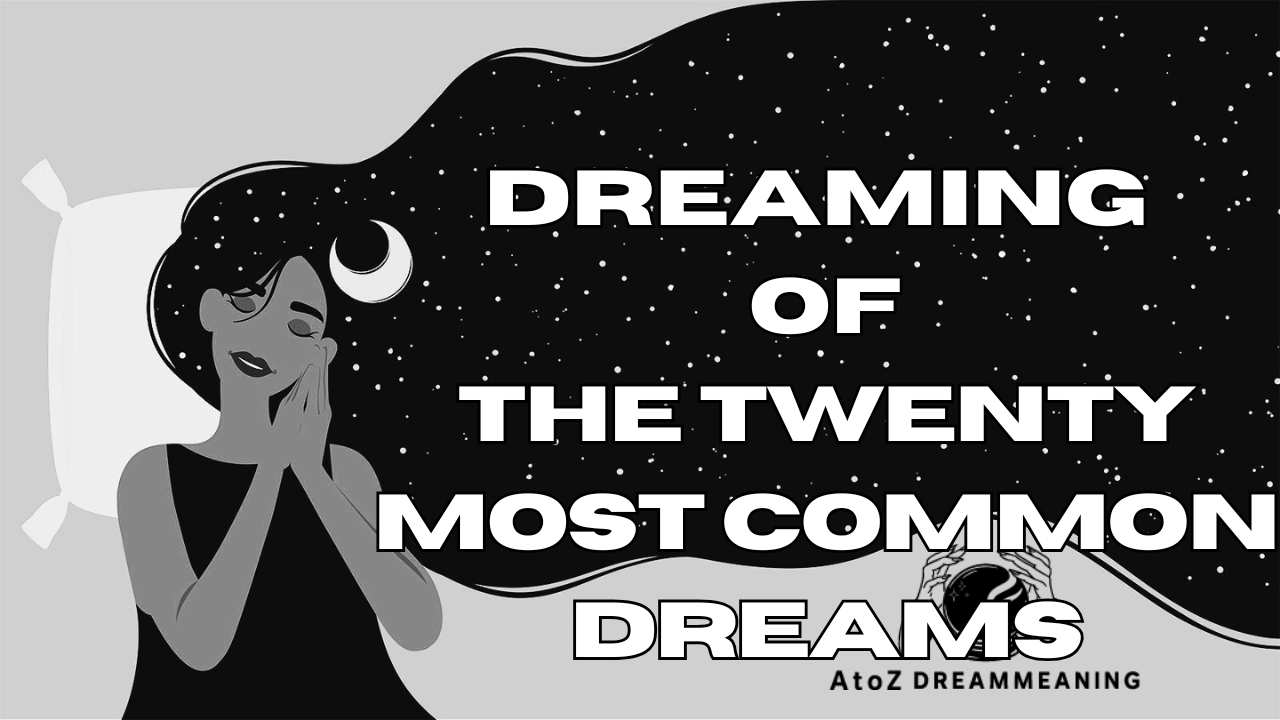 Dream about the twenty most common dreams