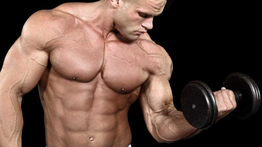 What does it mean when you dream about Muscles?