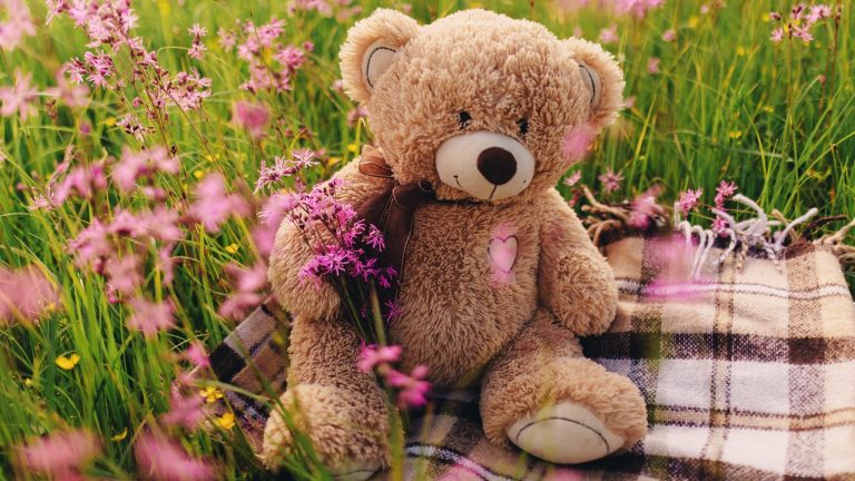 dream-about-teddy-bear-biblical-message-and-spiritual-meaning