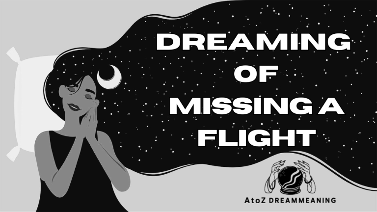 Dream About Missing A Flight - Biblical Message and Spiritual Meaning