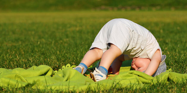 What Does A Somersault Look Like