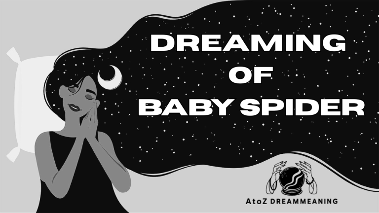 Biblical and Spiritual Meaning of Baby Spider in a Dream Explained